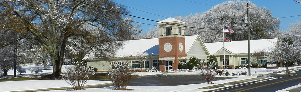 Welcome to Ball Ground, GA - City of Ball Ground Georgia